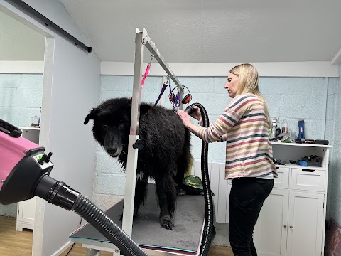 Clippin' Marvellous Dog Grooming