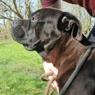 Berwick Boarding Kennels