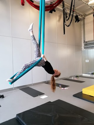 Revolutions Aerial Fitness