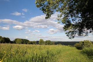 Pentwyn Farm - Gwent Wildlife Trust