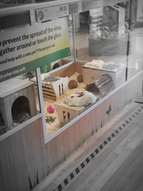 Pets at Home Brentford