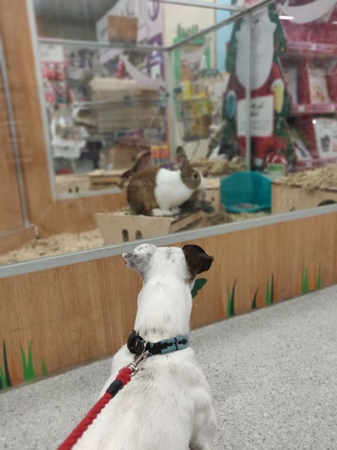 Pets at Home Winchester