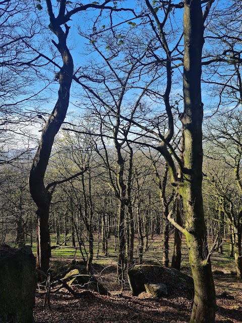 Chevin Forest Park