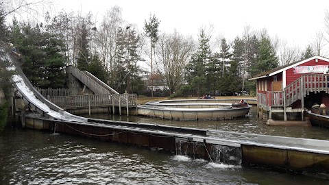 The Log Flume