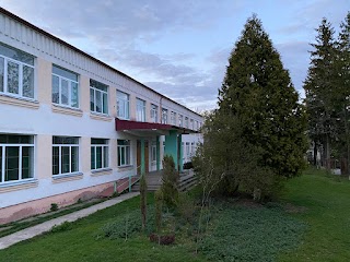 Ostrynya Primary School