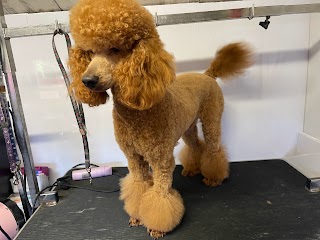 BUSHMEAD DOG GROOMERS