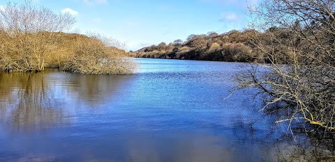 Bosley Reservoir