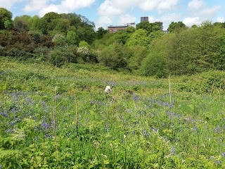 Bircham Valley Local Nature Reserve