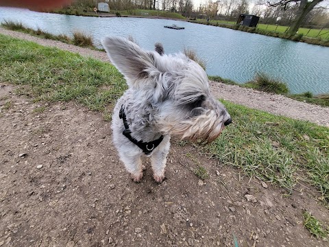 Unleashed Dog Adventure Park