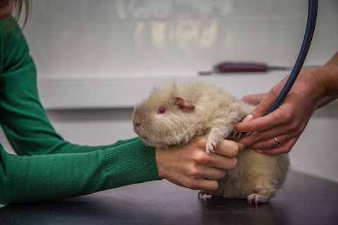 The Veterinary Clinic