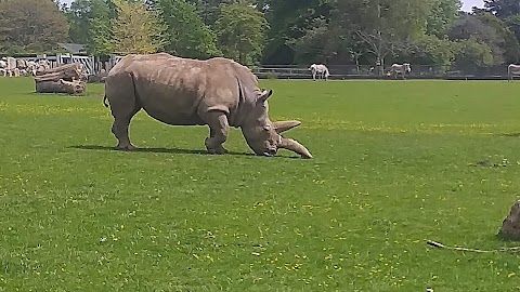 Marwell Zoo Science & Learning Centre