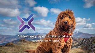 Veterinary Specialists Scotland