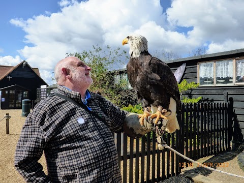 Herrings Green Activity Farm & Bird of Prey Centre