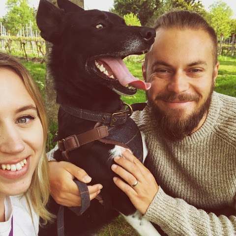 James Family Dog Walking