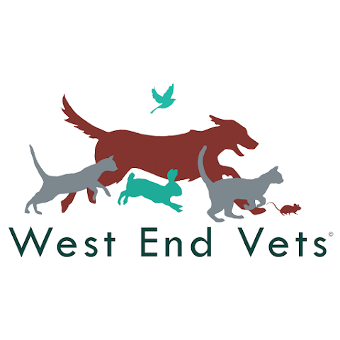 West End Vets - Davidson's Main