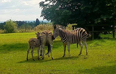 Cotswold Wildlife Park & Gardens