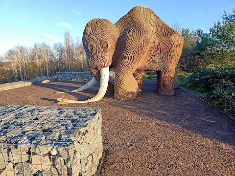 Nature Lake, Watermead Country Park