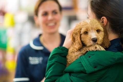 Bath Veterinary Group, Rosemary Lodge Veterinary Hospital