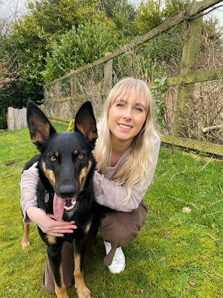 Dogs Love Walkies - Huddersfield