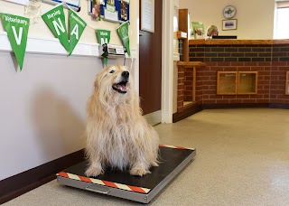 Quarry Veterinary Group, Bayston Hill