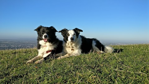 Kelston Round Hill