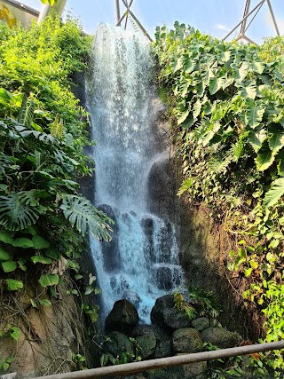 Eden Project