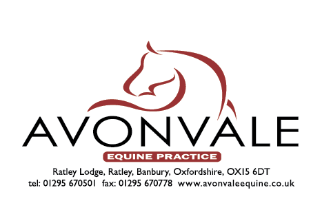 Avonvale Equine Veterinary Practice