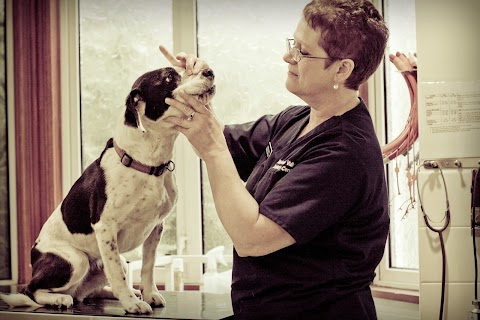 Blackwatervalley Veterinary Centre Ltd