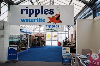 Ripples Waterlife