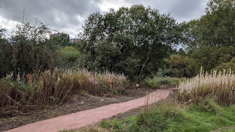 Malls Mire Community Woodland