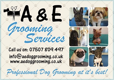 Amy & Elmo's Grooming Services