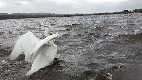 Castle Semple Visitor Centre