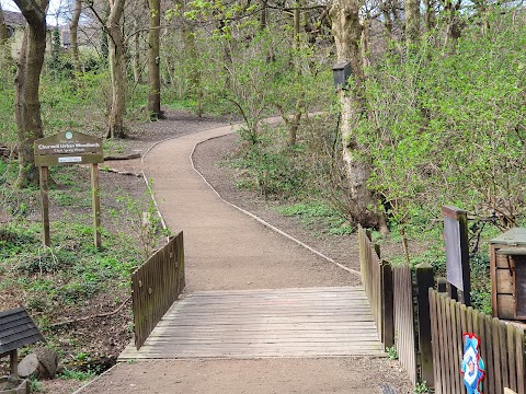 Churwell Urban Woodlands - Daffil Woods