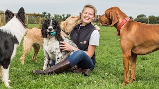 Lily's Barn Dog Day Care