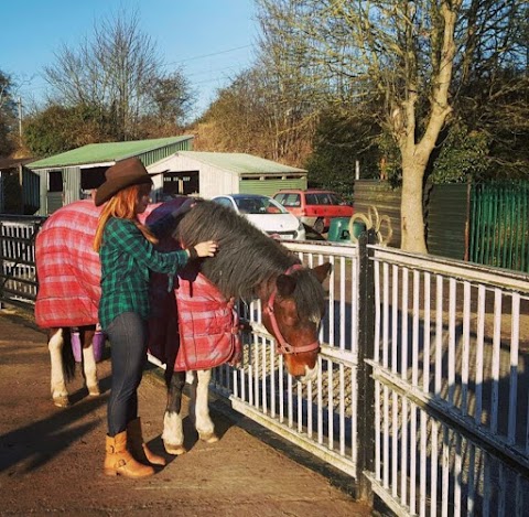 Castle Hill Riding School