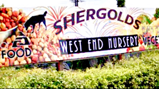 Shergolds