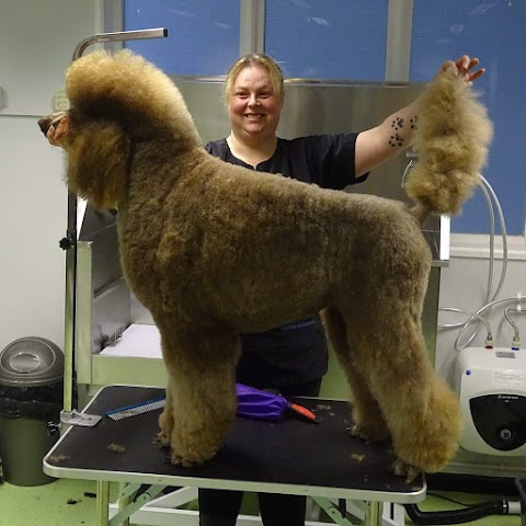 Canny Cuts Dog Grooming