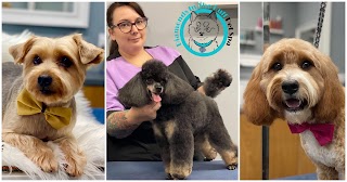 Diamonds In The Ruff Pet Spa - Dog Grooming