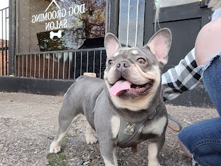 Happy tails groomers