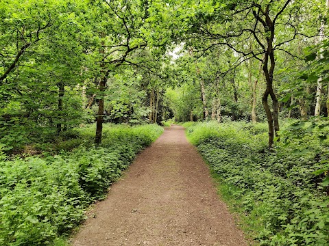 Rufford Abbey Country Park