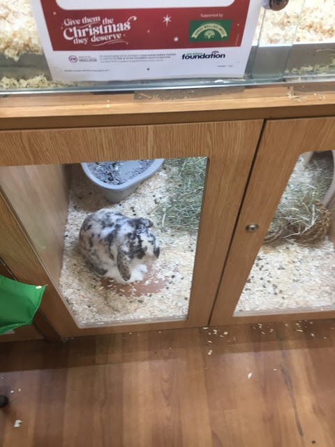 Pets at Home Inverurie