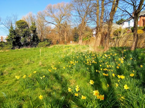 Duck Pond Lane - Park & Garden