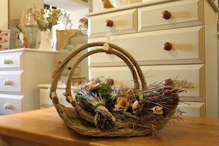 Meadow Interiors