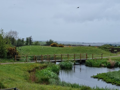 WWT Castle Espie