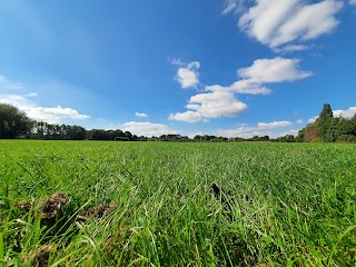 Painswick Park