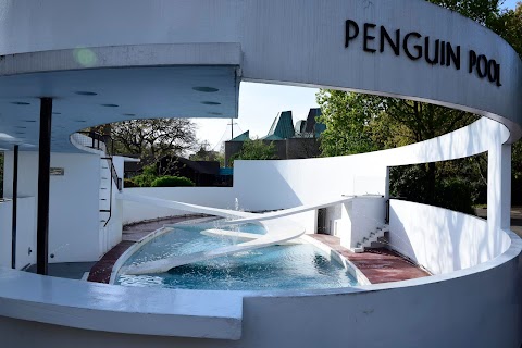 London Zoo Penguin Pool