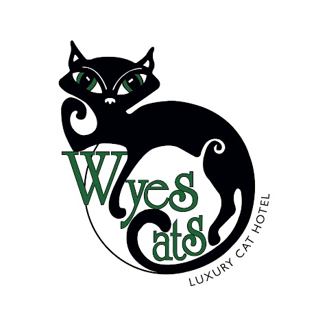 Wyes Cats Luxury Cat Hotel