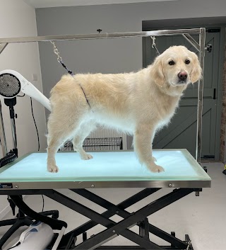 Helen's Bay Dog Grooming