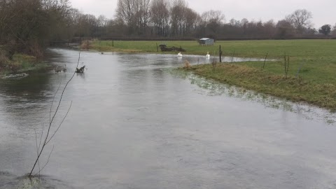 Cotswold Lake Houses