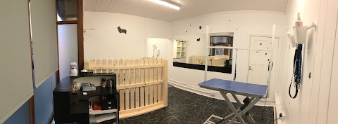 The kennel dog grooming